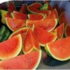 watermelon slices on conveyer belt