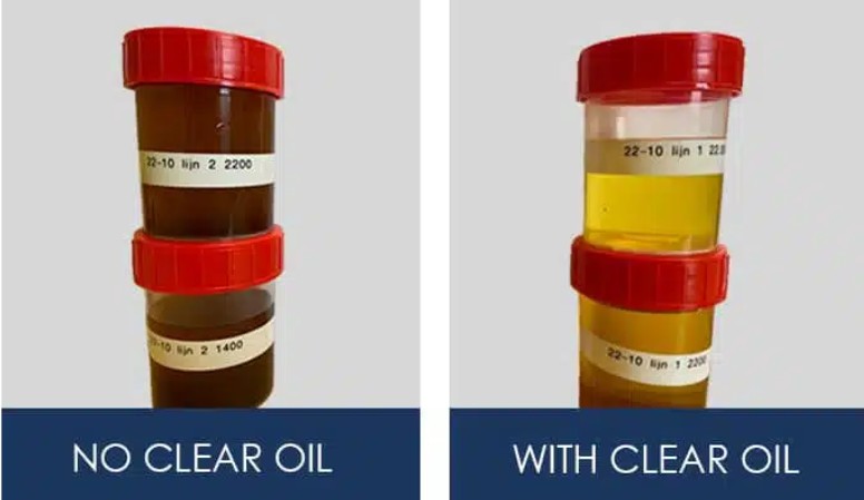 Oil