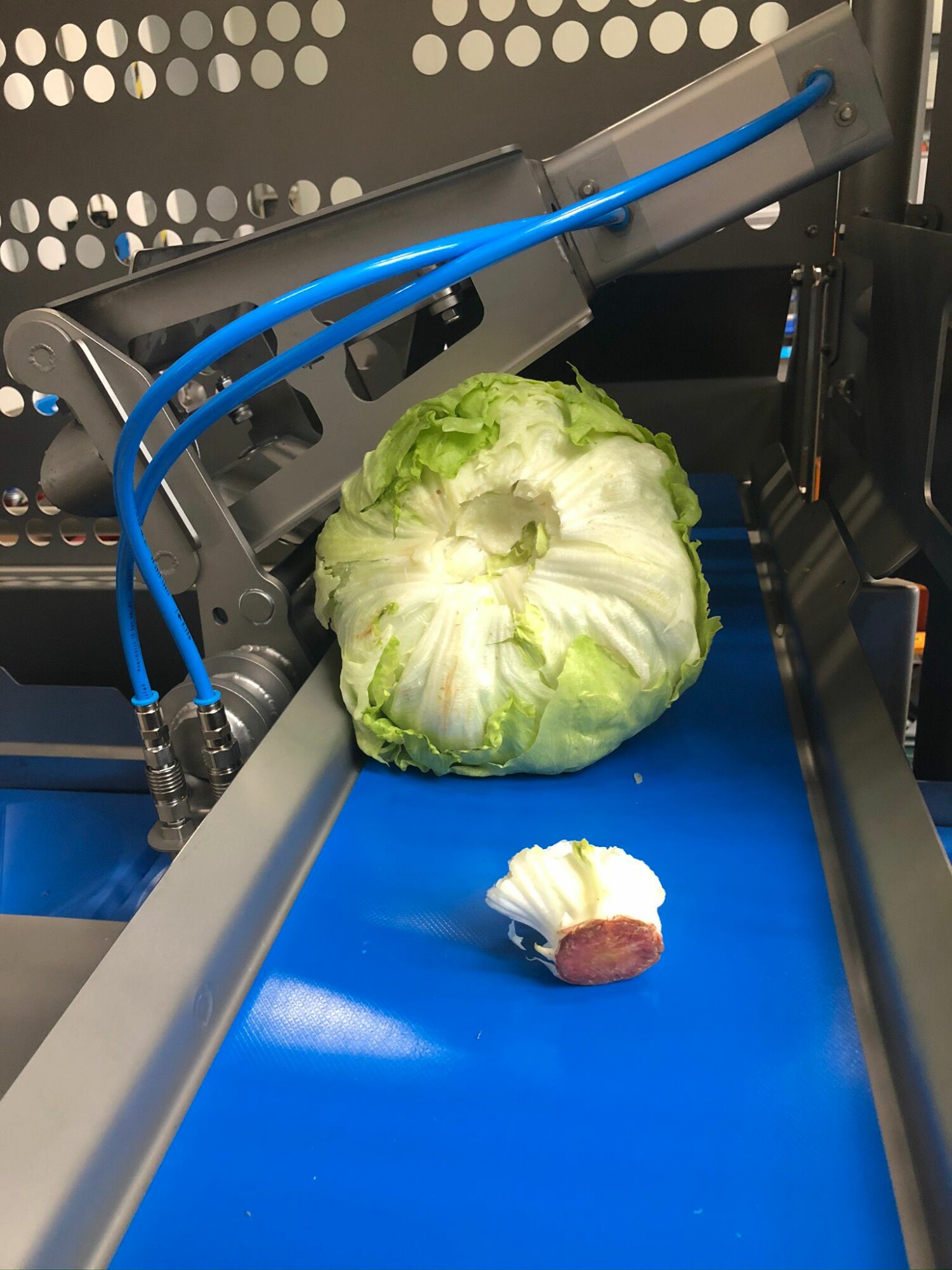 Hitec DCM TWIN iceberg lettuce de corer Lingwood Food Services