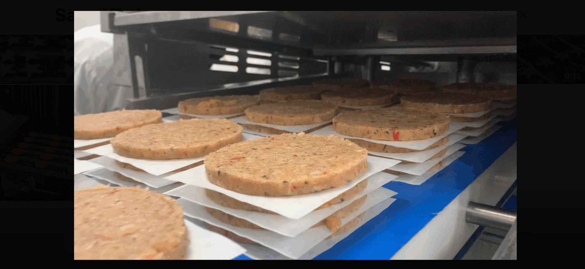 Chicken or Veggie Patties Stacked